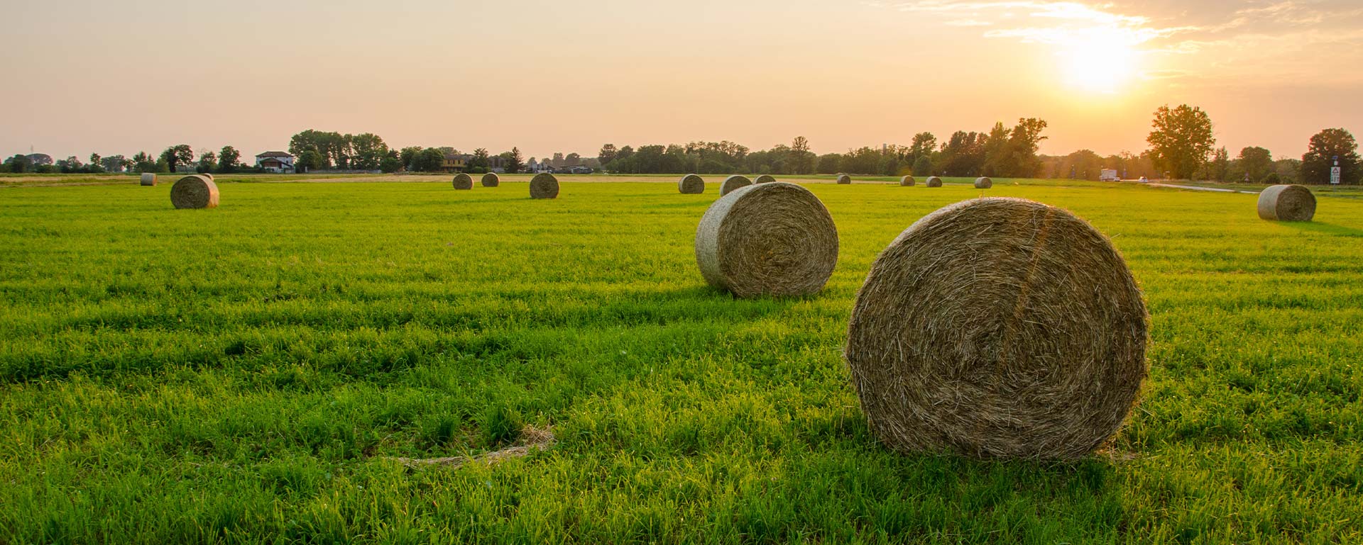 Exploitation agricole à Moncontour