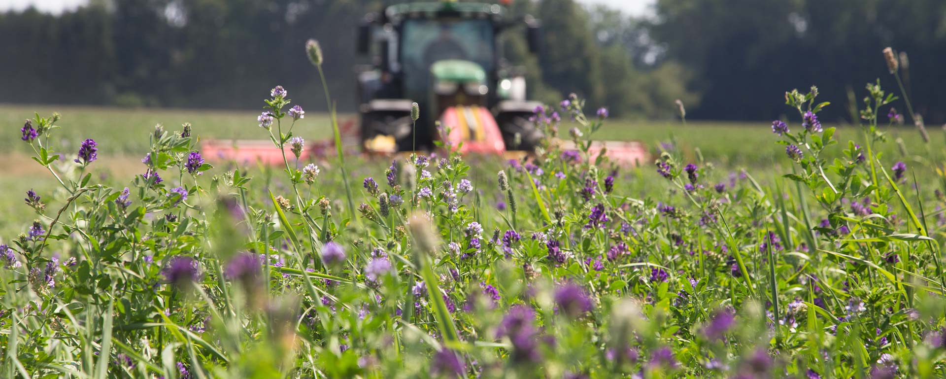 Exploitation agricole à Moncontour