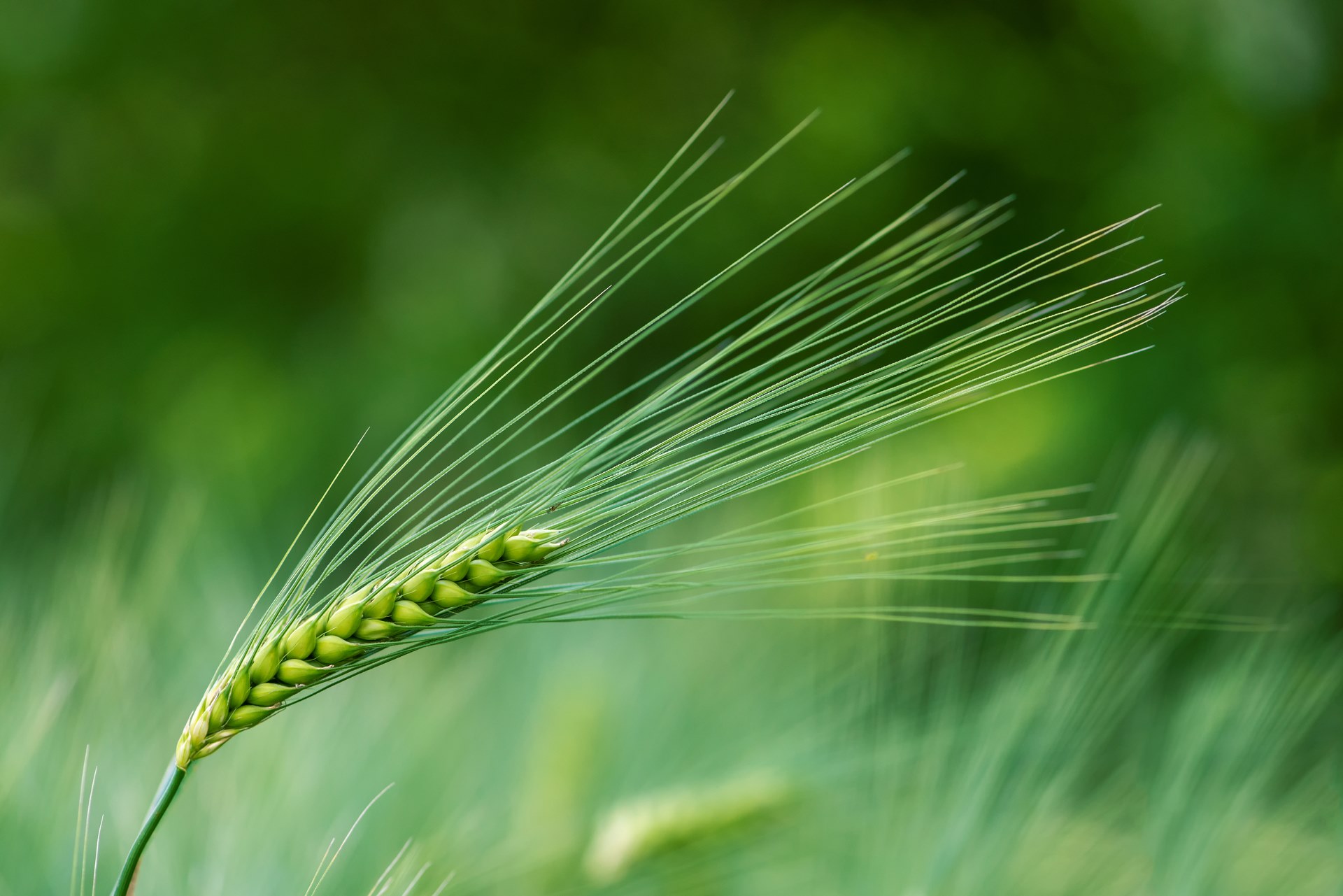 Autres prestation de services agricoles Autres prestation de services agricoles
