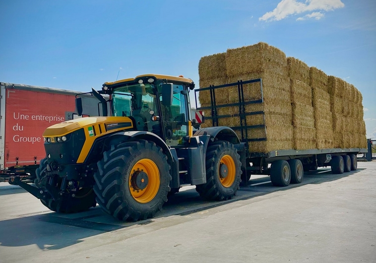 Livraison de fourrage de paille haute qualité en Europe Livraison de fourrage de paille haute qualité en Europe