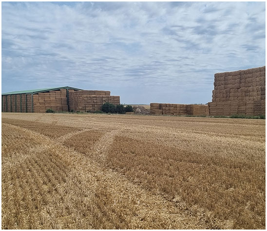 Exploitation agricole à Moncontour